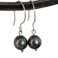 Tahitian Black Pearl Earrings Dangle