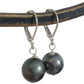 Tahitian Black Pearl Earrings Dangle